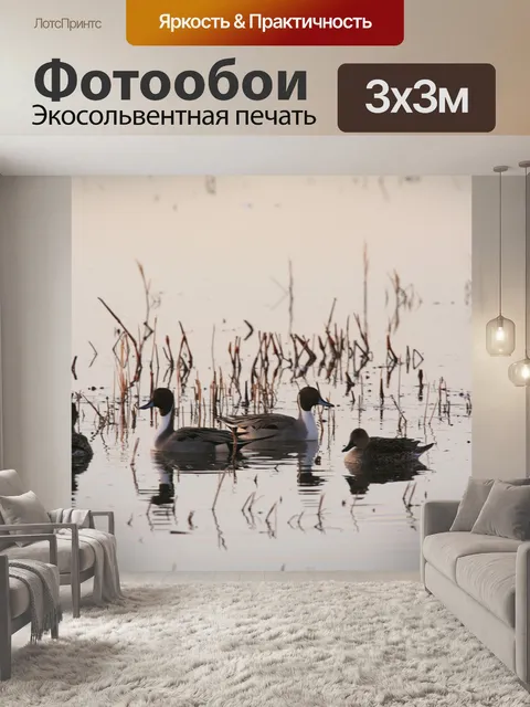 Фотообои Гуси