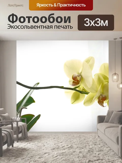 Фотообои Орхидея