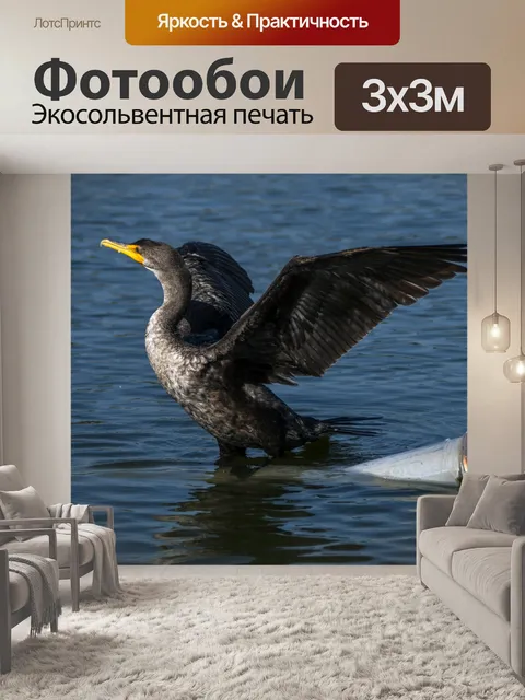 Фотообои Птицы бакланов