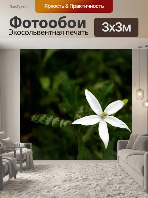 Фотообои Звездный цветок