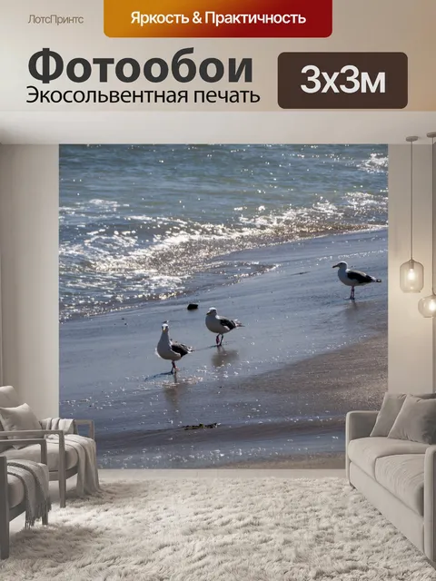Фотообои Три чайки