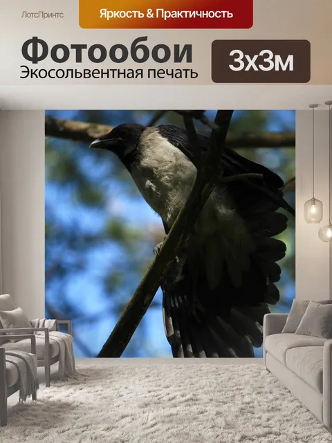 Фотообои Перья