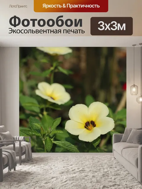 Фотообои Три желтых цветов
