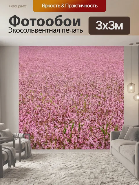 Фотообои Цветок