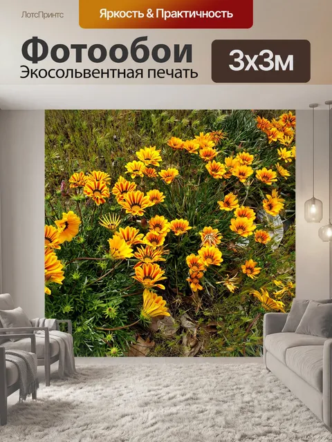 Фотообои Африканские тигрицы
