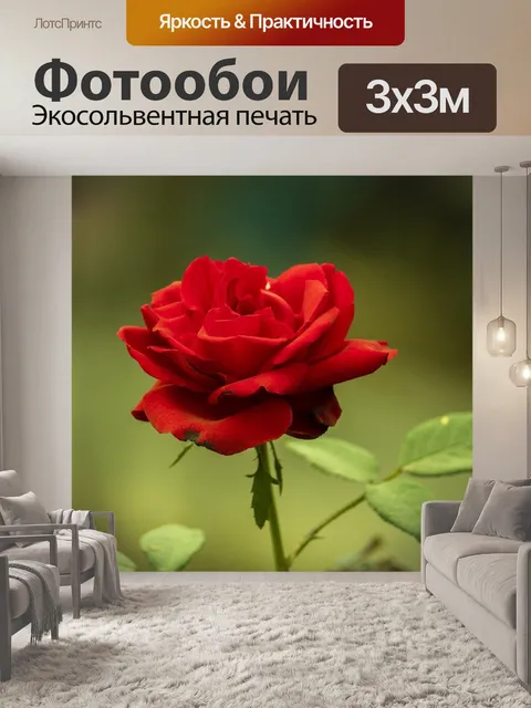 Фотообои Красная роза