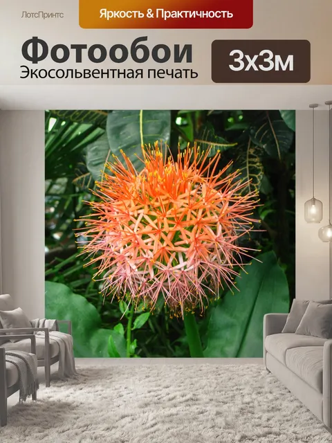 Фотообои Тропический цветок