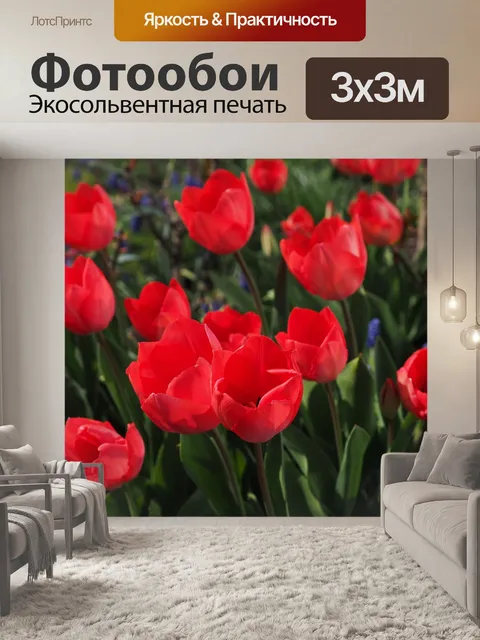 Фотообои Тюльпаны