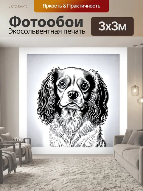 Фотообои изображение головы кавалер кинг чарльз спаниеля, выполненное в черно-белой технике графического искусств