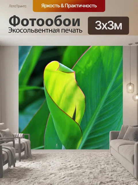 Фотообои Канна лист в свете