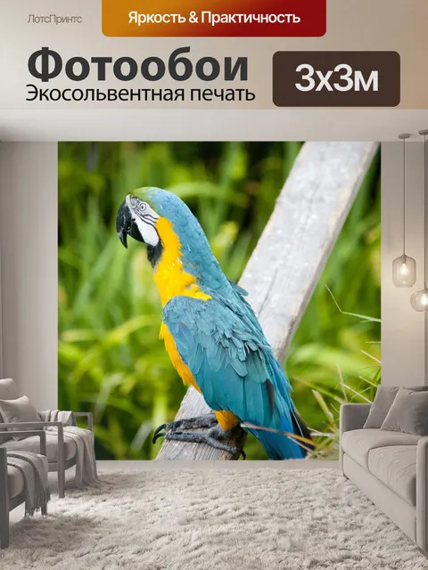 Фотообои Ара