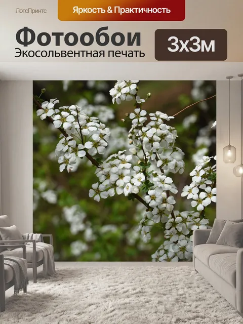 Фотообои Уайлдфлауэр
