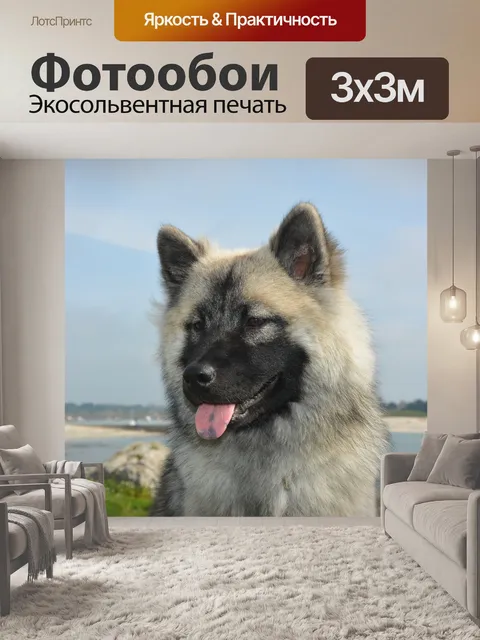 Фотообои Собака