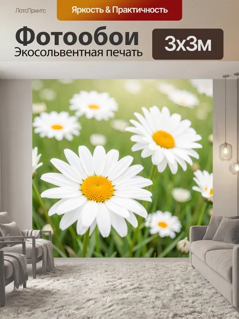 Фотообои Белые ромашки в зелёном поле