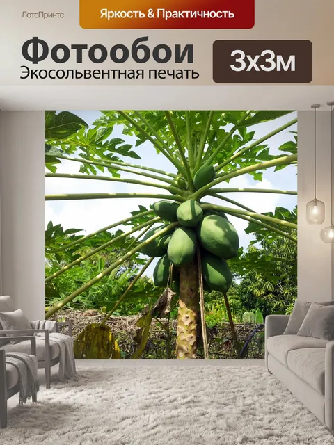 Фотообои плод папайи на заводе