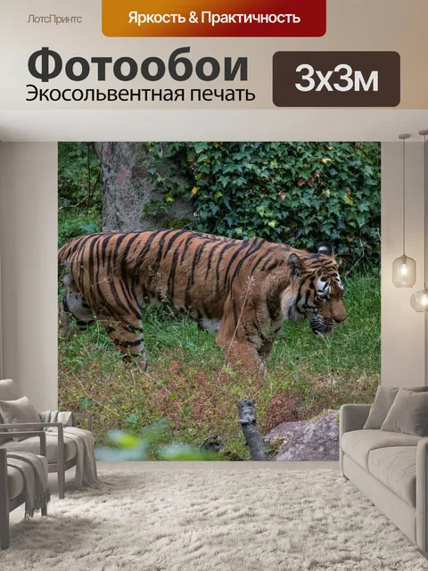 Фотообои Тигр