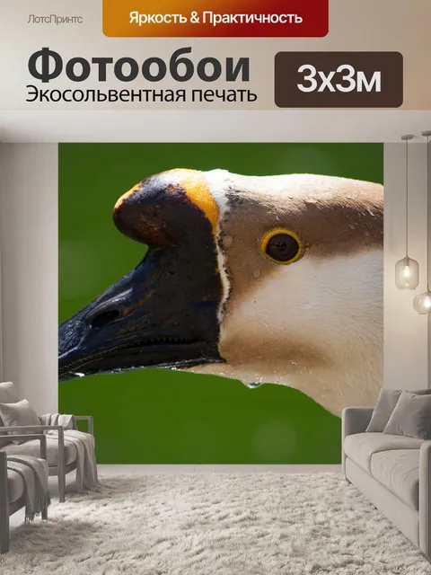 Фотообои Гусь