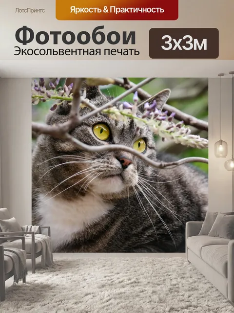 Фотообои Кот