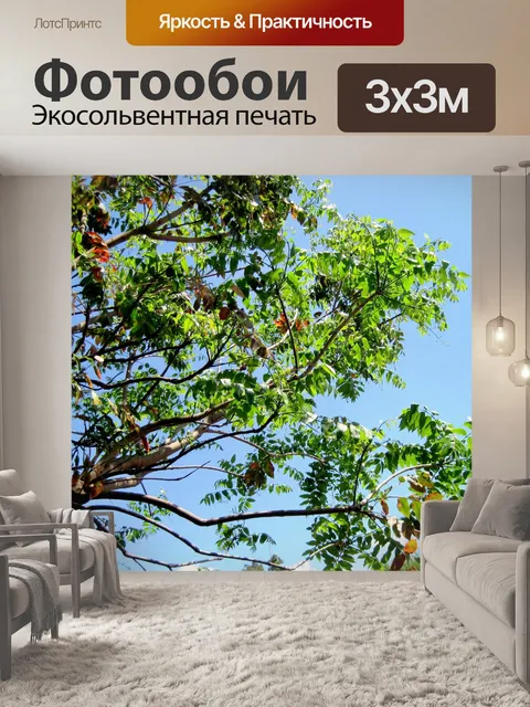Фотообои зеленое дерево с красными листьями