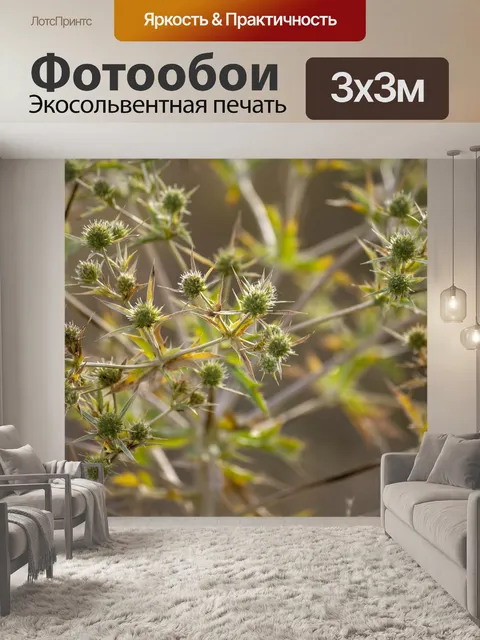 Фотообои Цветы