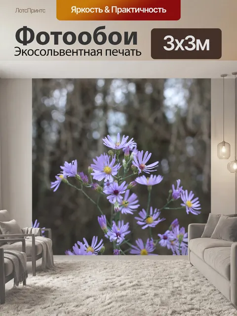 Фотообои Фиолетовый дикие цветы голубой астра