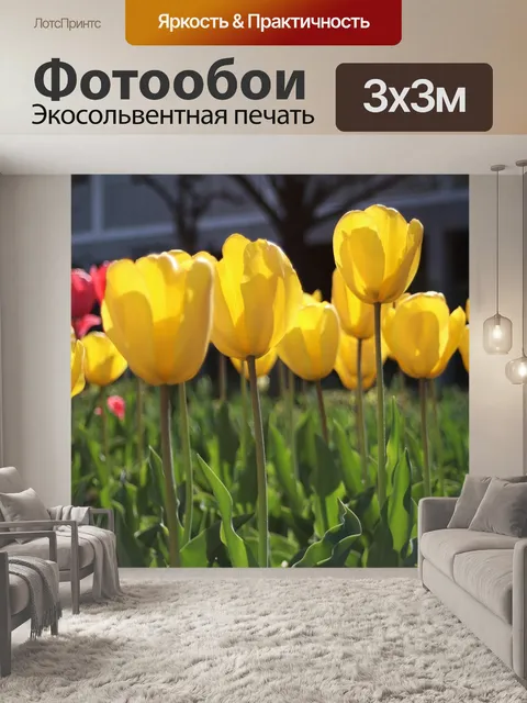 Фотообои Желтые тюльпаны