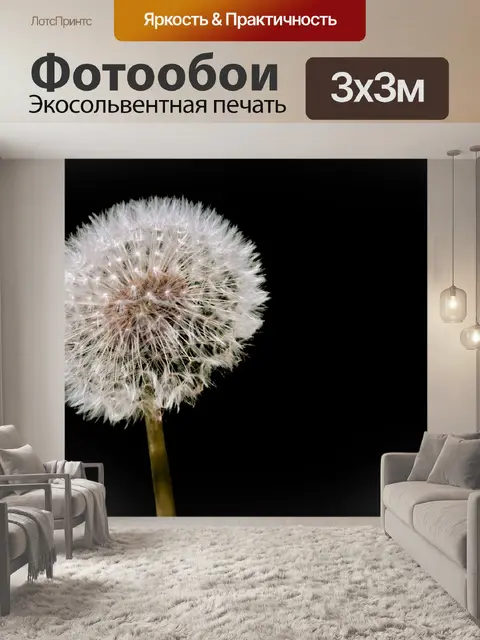 Фотообои одуванчики