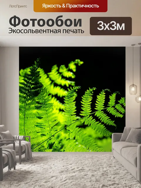 Фотообои зеленый папоротник