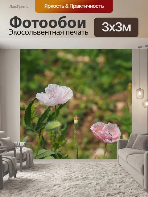 Фотообои Цветы мака