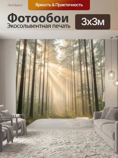 Фотообои Сосновый лес в утреннем тумане