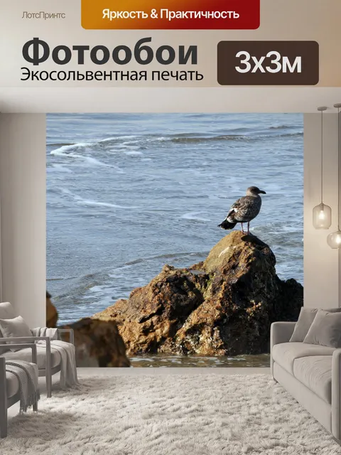 Фотообои Чайка на скале