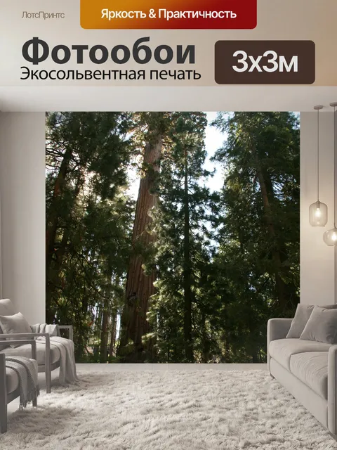 Фотообои Гигантские секвойи в Йосемити