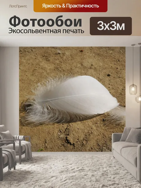 Фотообои Перо
