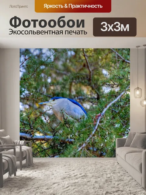 Фотообои Ночная цапля