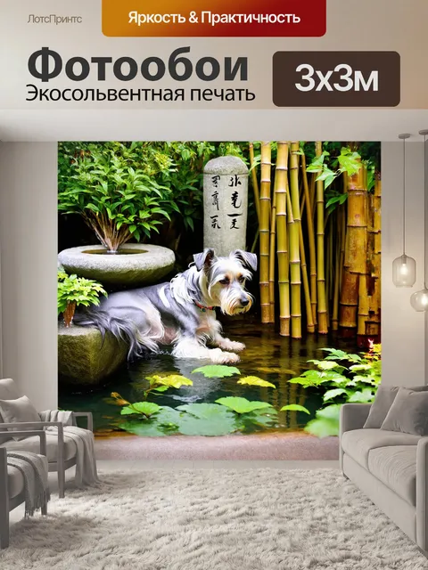 Фотообои в тихом китайском саду