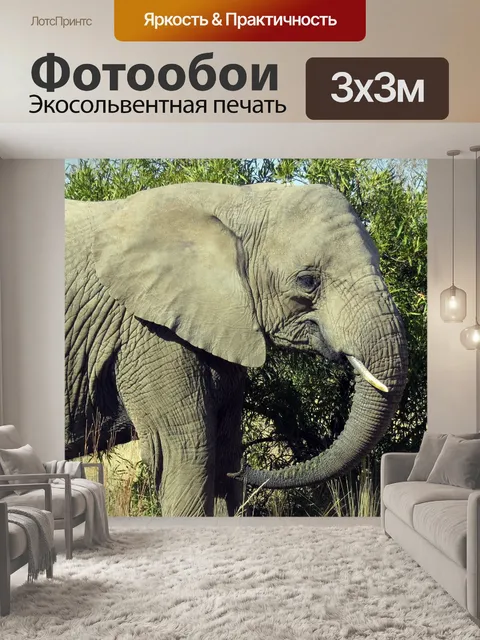 Фотообои Африка