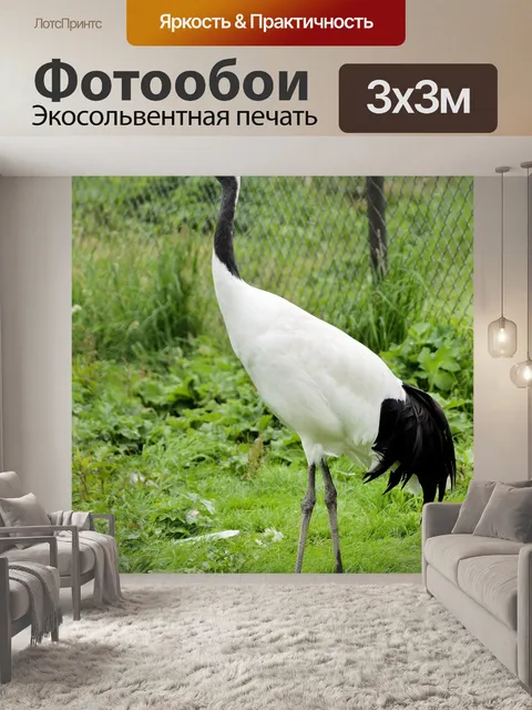 Фотообои Японский журавль