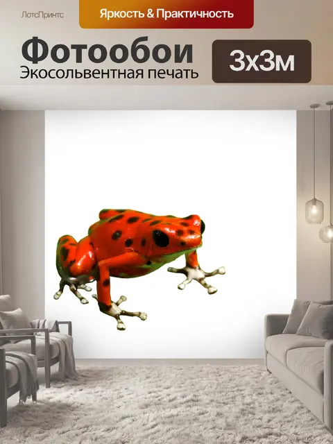 Фотообои Лягушка