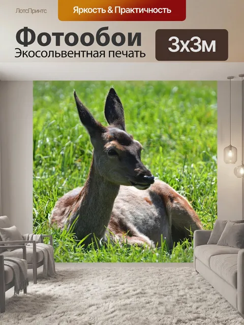 Фотообои Олень