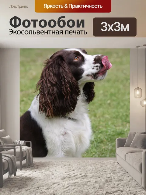 Фотообои Собака лижет губы
