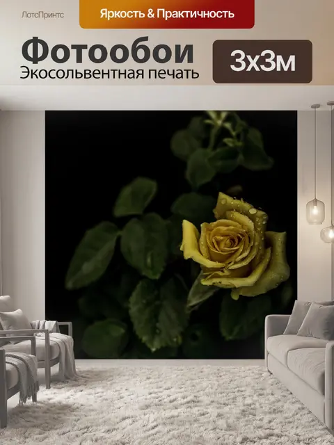 Фотообои Розы