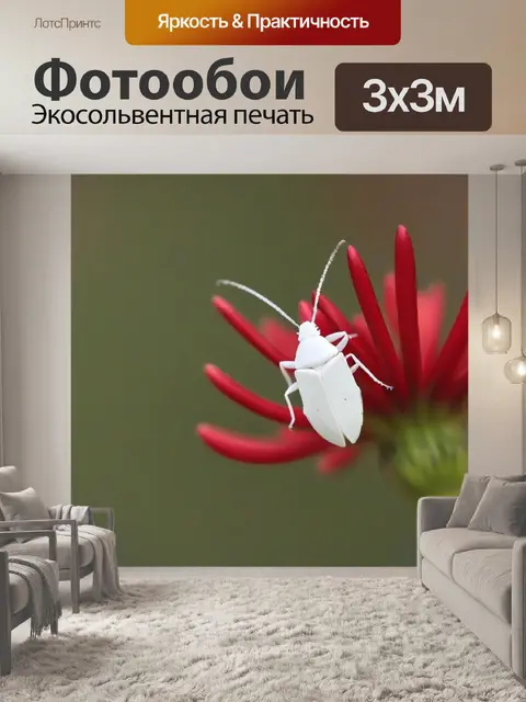 Фотообои белый на красном цветке