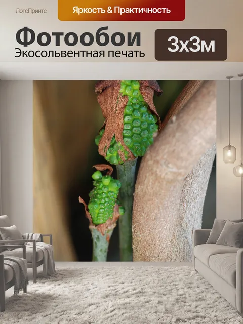 Фотообои В начале лета