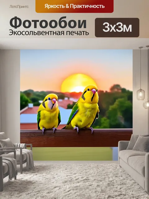 Фотообои изобразите волнистых попугаев, сидящих на деревянной перила террасы с видом на закат