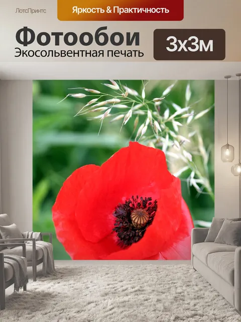 Фотообои Цветок