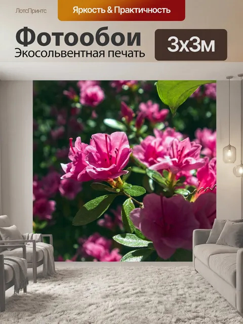 Фотообои Розовая азалия
