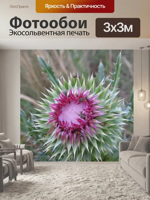 Фотообои Растения