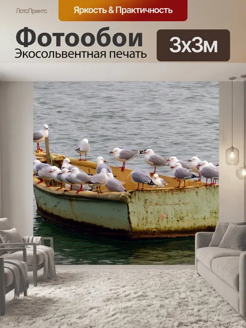 Фотообои Seagulls