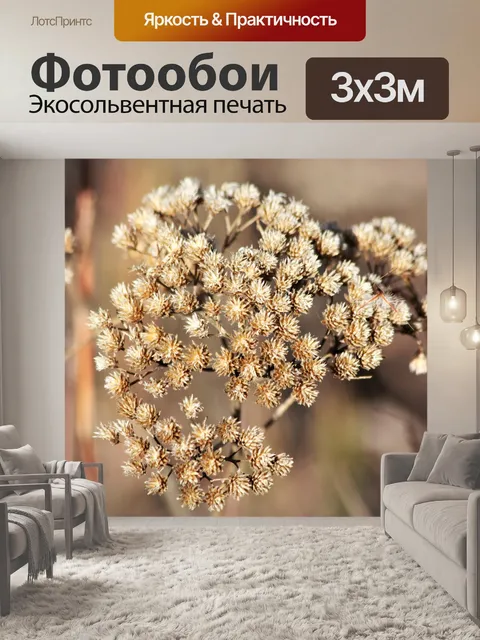 Фотообои Коричневая голова полевого цветка зимой