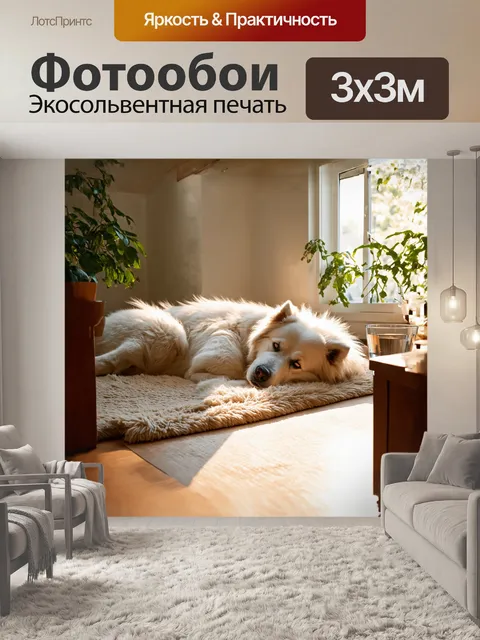 Фотообои нежное утреннее солнце проникает в уютный уголок комнаты